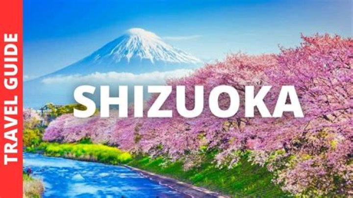 アンドエッセンス静岡｜注目のサロン・ブランドを徹底解説