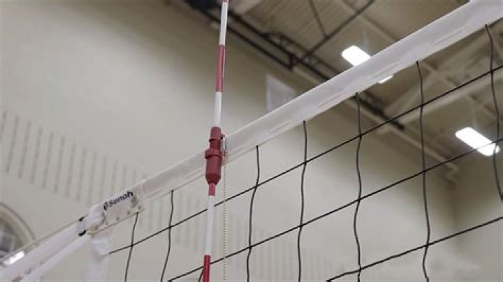 2026年版 だめぽアンテナspでバレーボール情報を見逃さない保存版ガイド