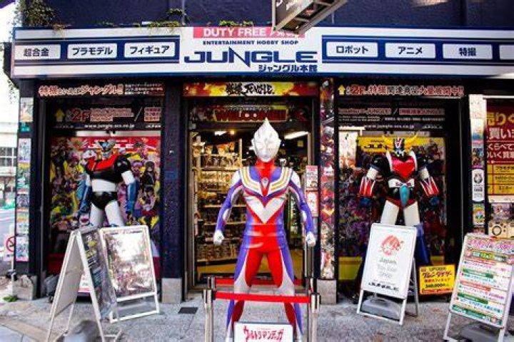 ジャングル 大阪 日本橋店を徹底ガイド｜品揃え・探し方・回り方